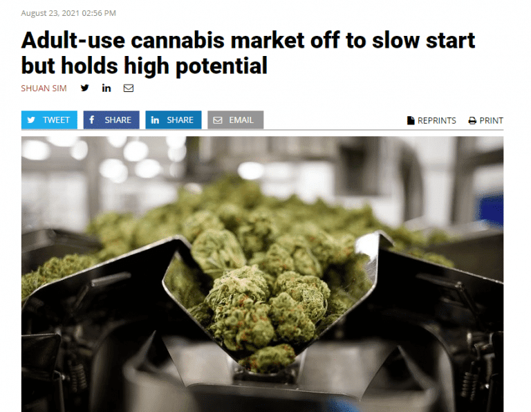 snip crains adult use cannabis market