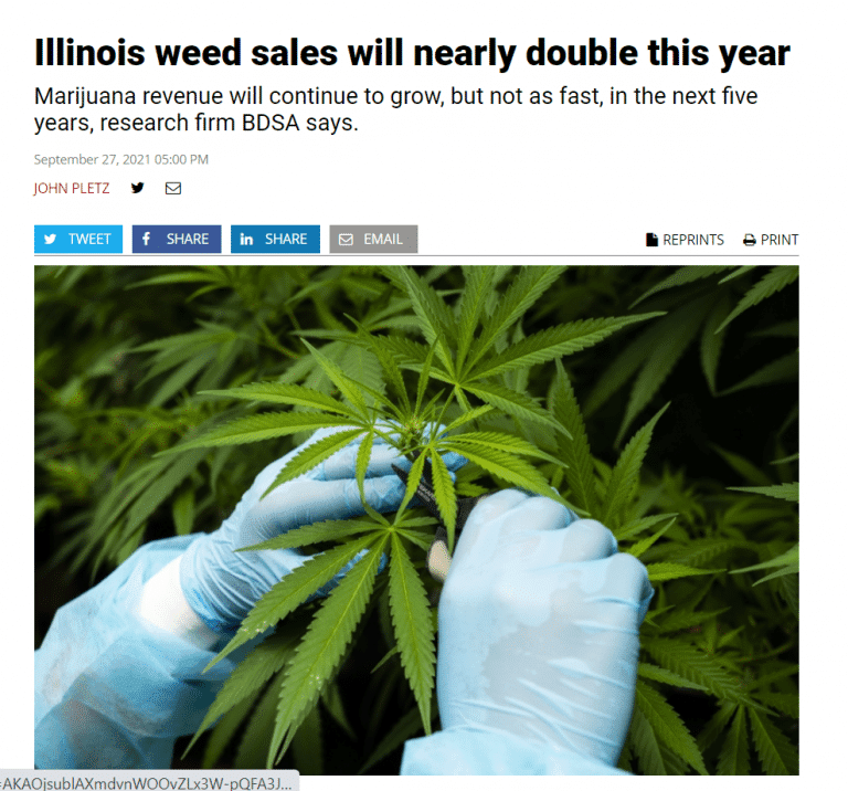 snip crains illinois weed sales