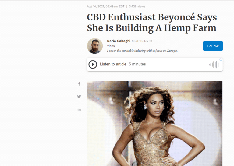 Snip beyonce