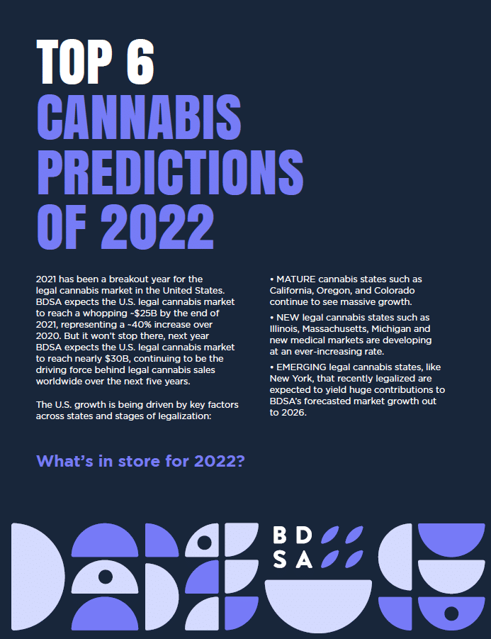 snip 2022 predictions thumbnail