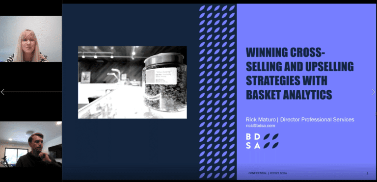 snip basket analytics webinar screenshot