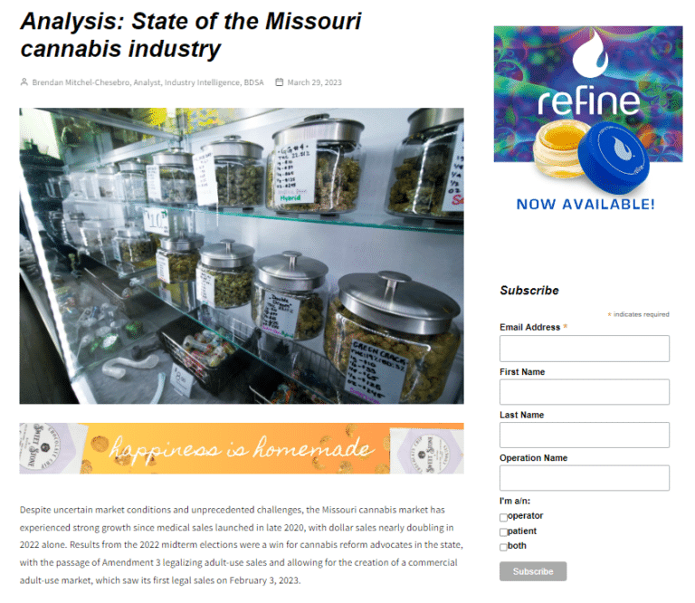 Article Screenshot