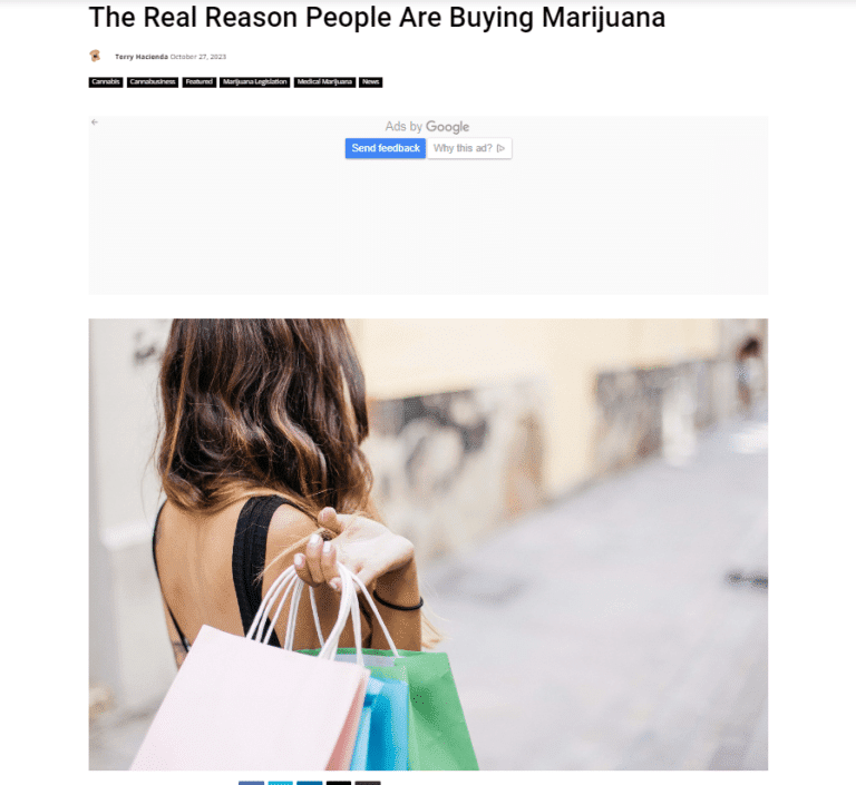 Article Screenshot