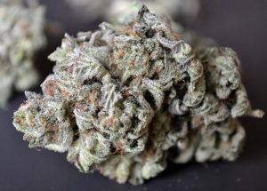 Gorilla-Glue-4-Cannabis-Nug