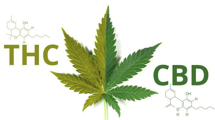 Product high in CBD are increasingly popular among cannabis consumers