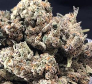 From Sand to Snow — Californians