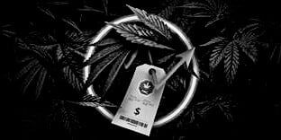 deloitte report 1 (1)