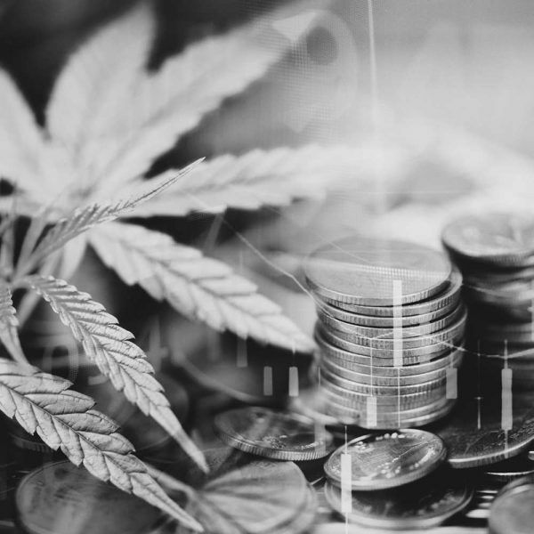 BDSA-Markets-We-Serve-1000x1000