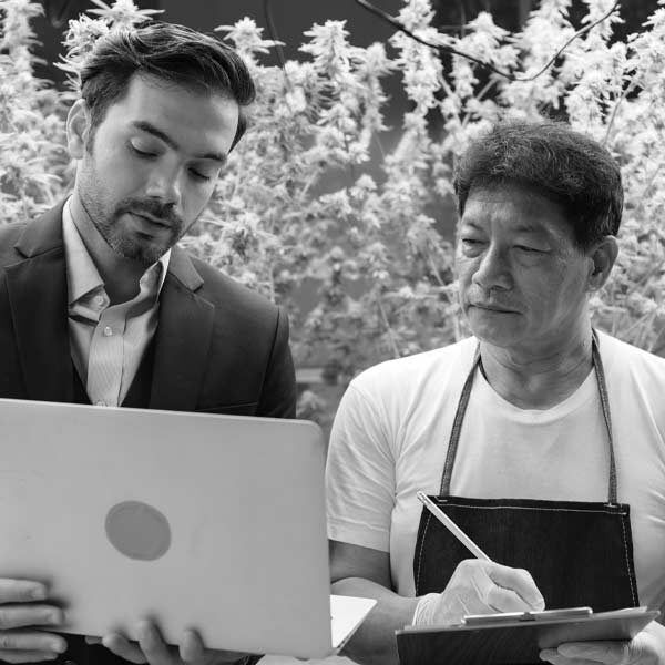 cannabis-business-order